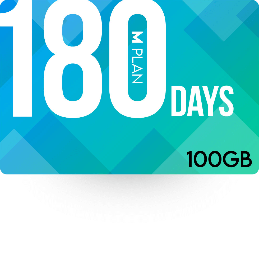180日100GBプラン