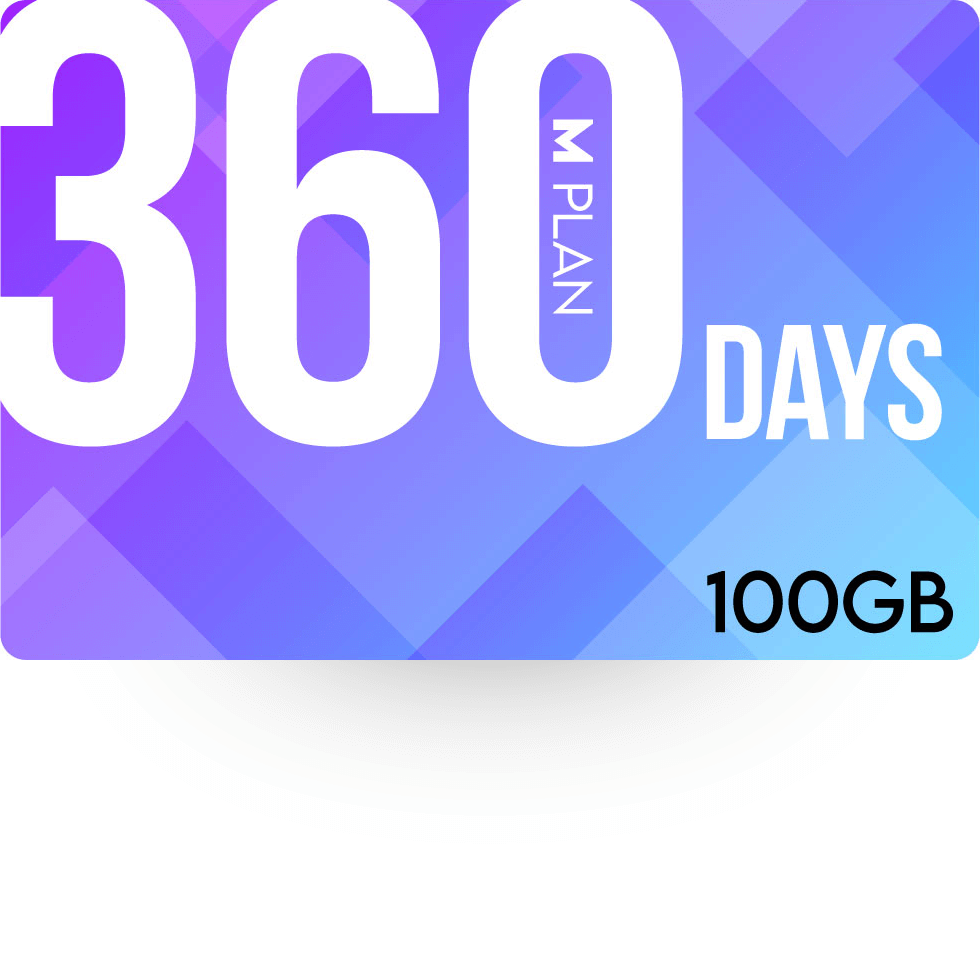 360日100GBプラン