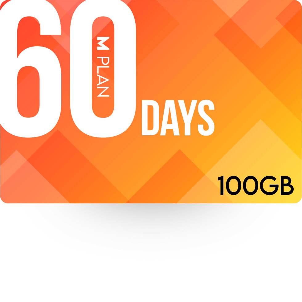 60日100GBプラン
