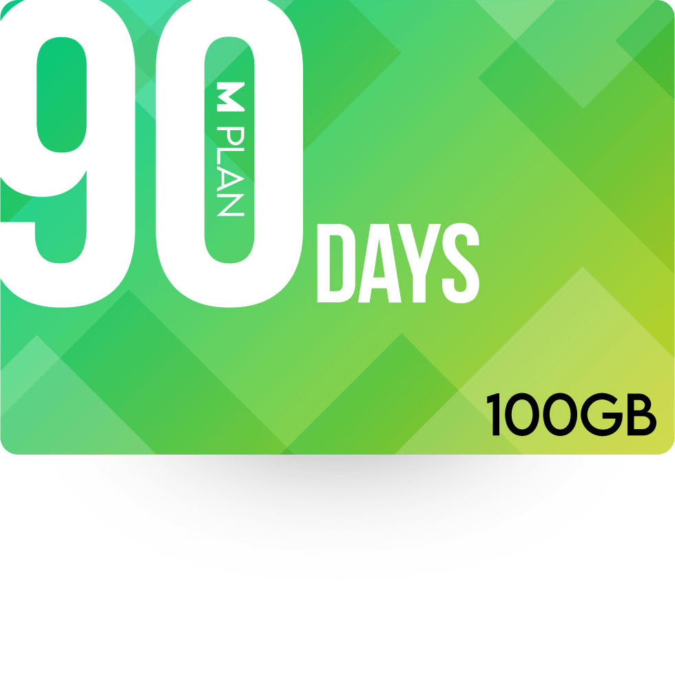 90日100GBプラン